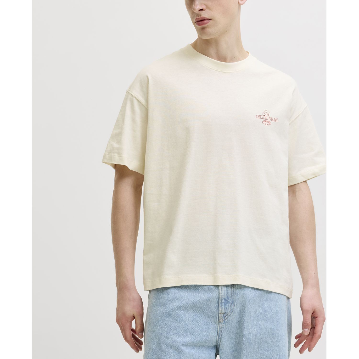 JACK & JONES Marškinėliai vyrams, Smėlio, Sanremo back 3