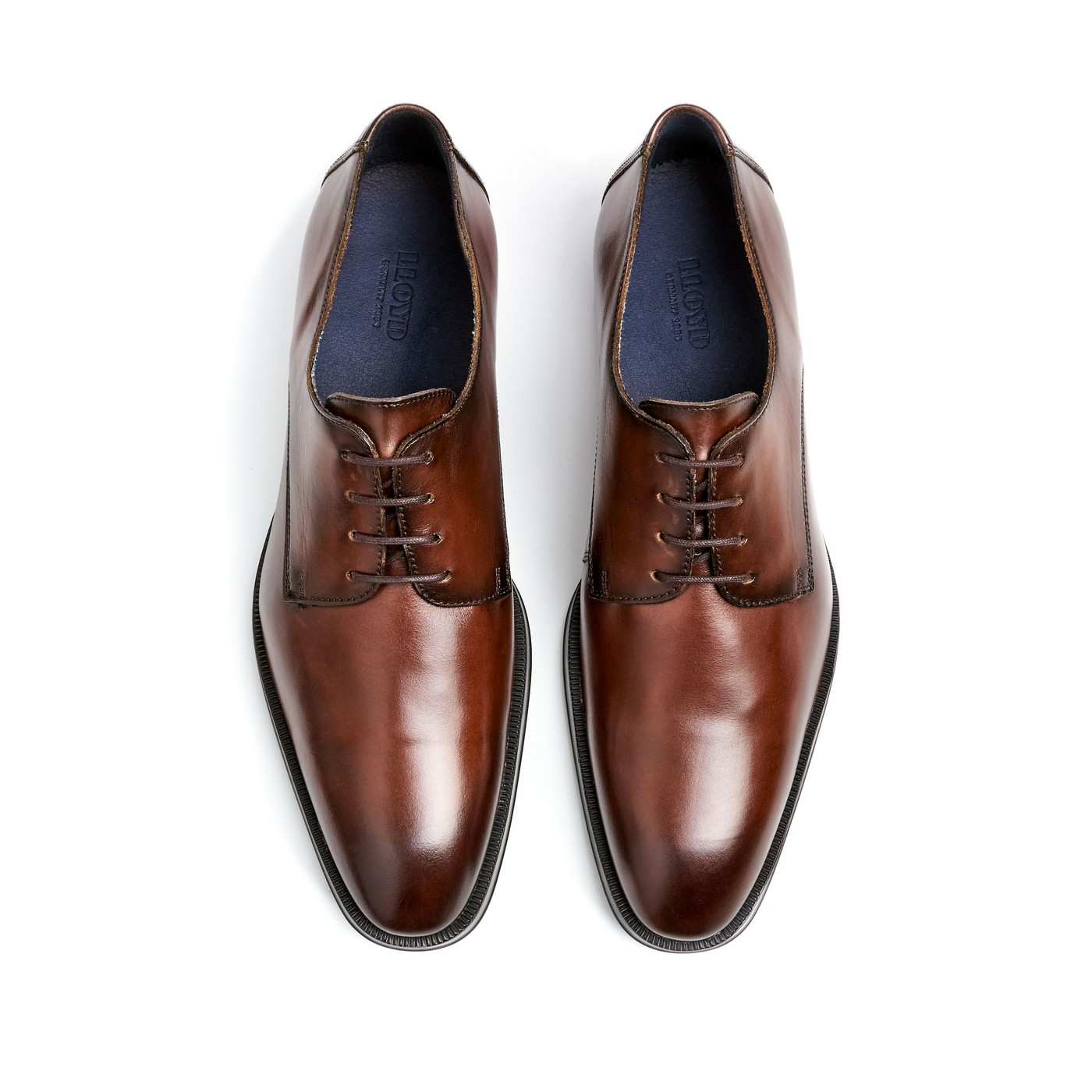 LLOYD Klasikiniai batai vyrams, Ruda, GIDEON formal 3