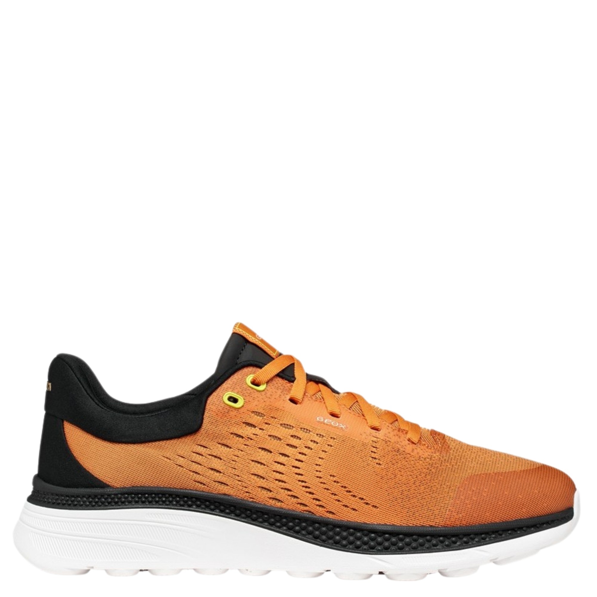 GEOX Sportbačiai vyrams, Oranžinė, Spherica actif x1 sneakers 2