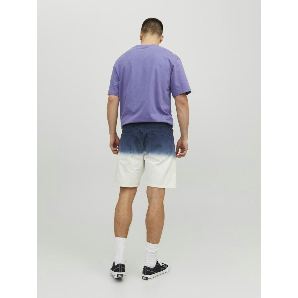 JACK & JONES Šortai vyrams, Navy, JPSTCHRIS JJFAD 4
