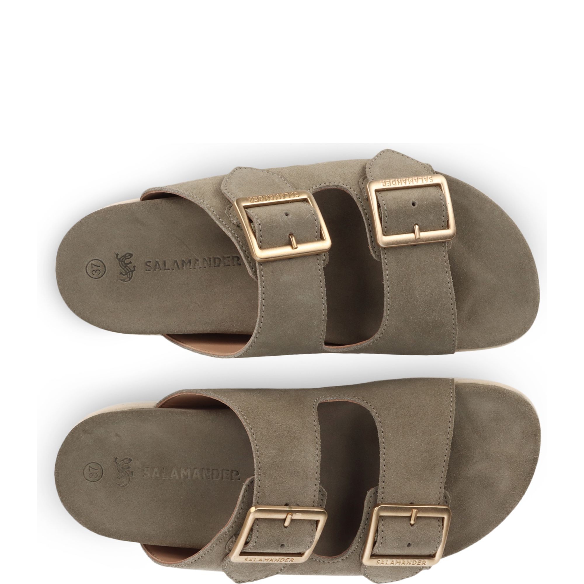 SALAMANDER Šlepetės moterims, Žalia, Slippers, slmf31as38114007000 6