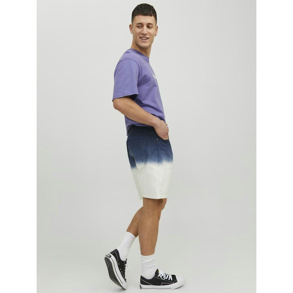 JACK & JONES Šortai vyrams, Navy, JPSTCHRIS JJFAD 8
