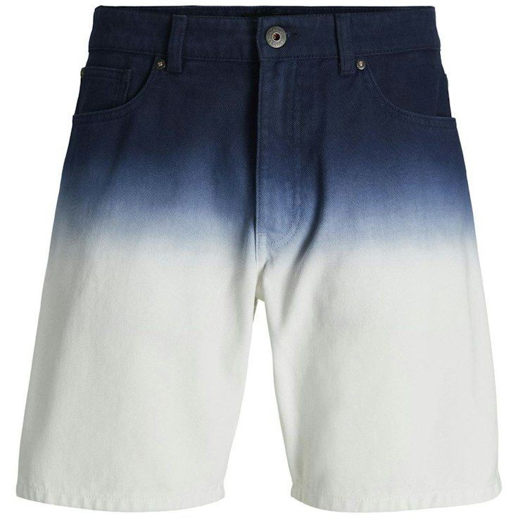 JACK & JONES Šortai vyrams, Navy, JPSTCHRIS JJFAD 1