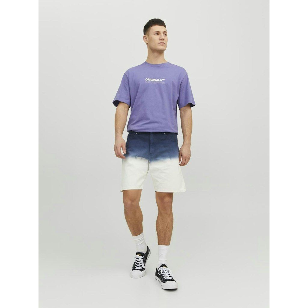 JACK & JONES Šortai vyrams, Navy, JPSTCHRIS JJFAD 5